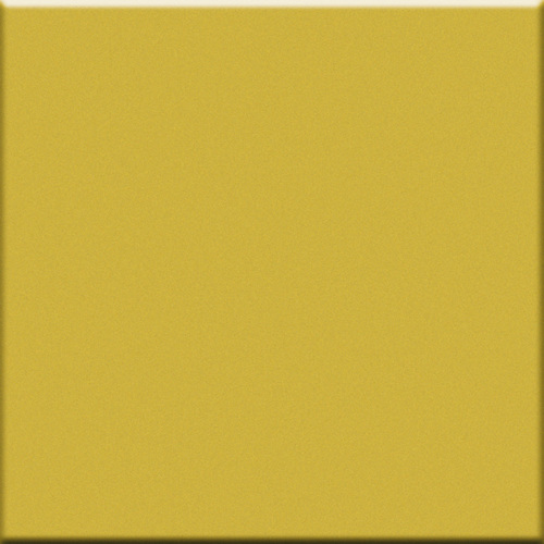DVI 49