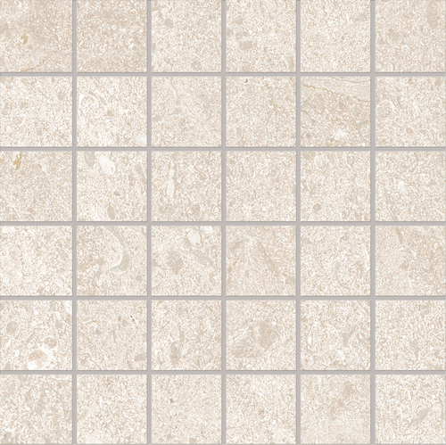 DEMT 01 Mosaic