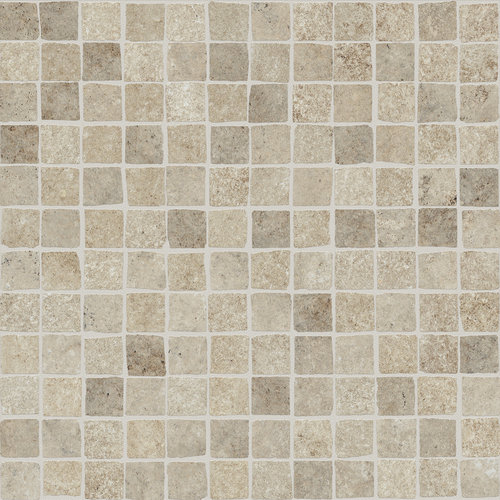 DSLE 02 Mosaic