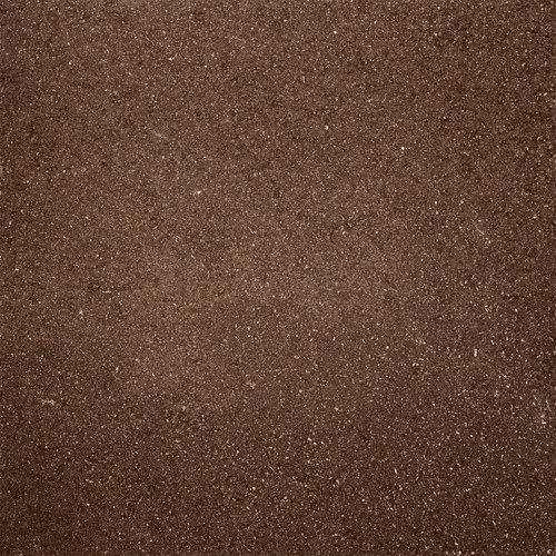 DRSC 08