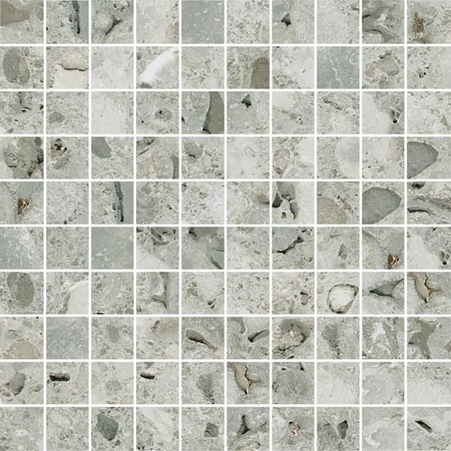 DCTM 04 Mosaic