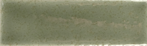 DWS 07