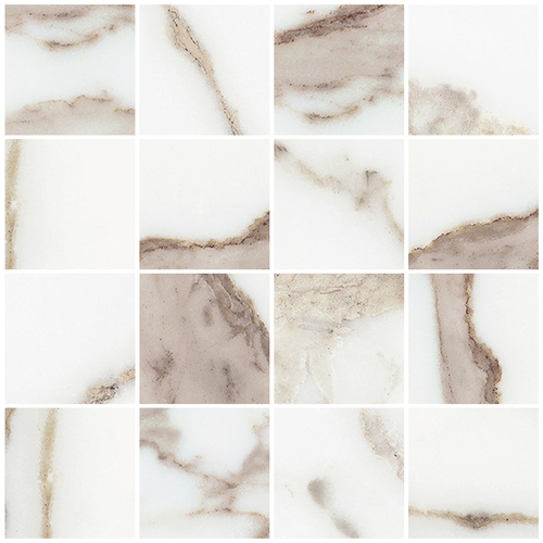 DMAG 272 Mosaic