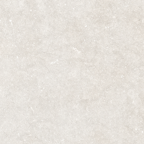 DLDASW 01