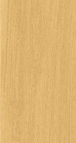 ELPE 486