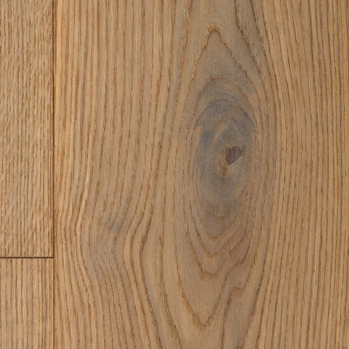 WDBQ 007