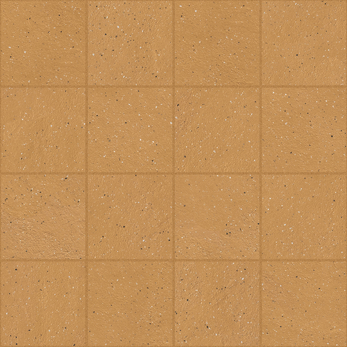 DMAG 206 Mosaic