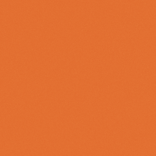DYIS P 06