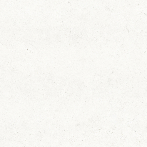 DLBFS 08
