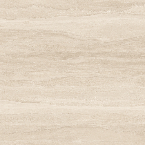 DGSI 06 Vein