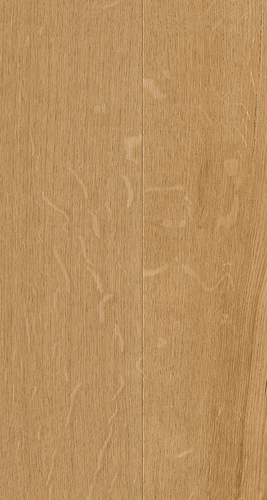 EVPE 524