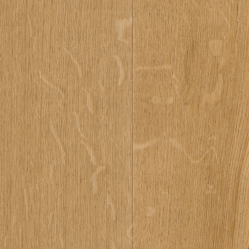 EVPE 524