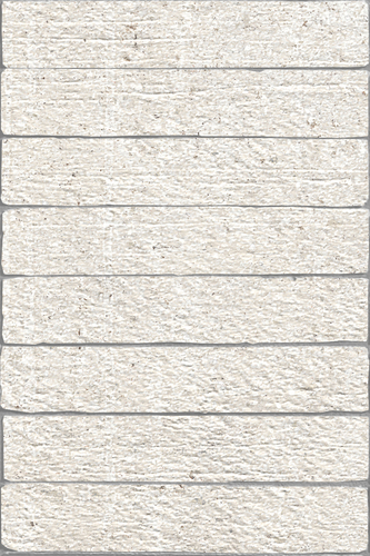 DKTE 01 Strip Mosaic