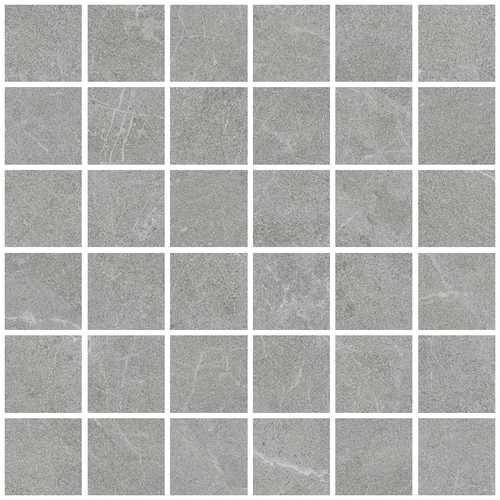 DLVN 02 Mosaic