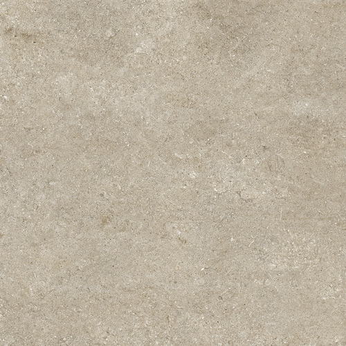 DCSNF 02 Fossil
