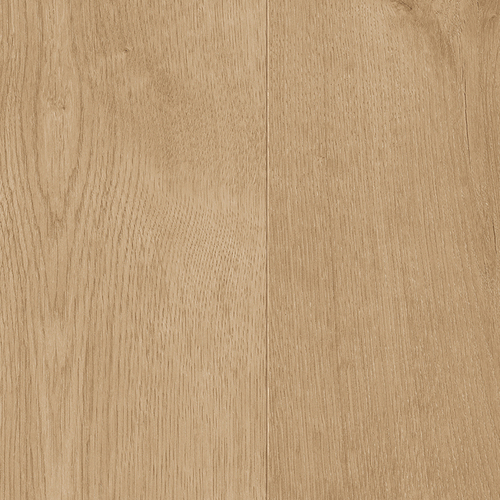 EVPE 526