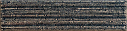 DANT 06