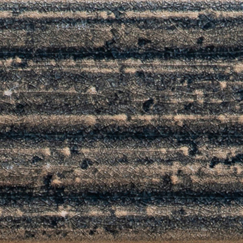 DANT 06