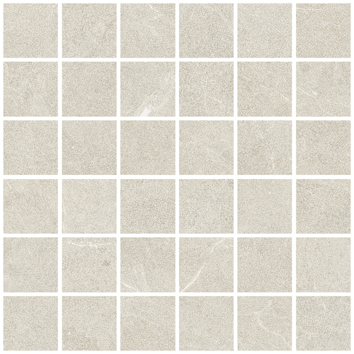 DLVN 01 Mosaic