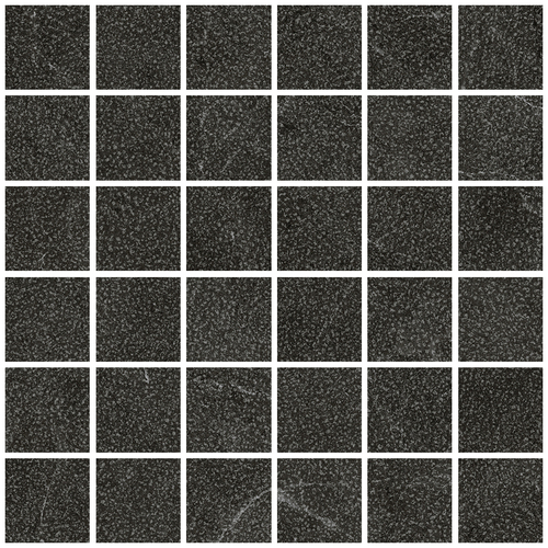 DLVN 04 Mosaic