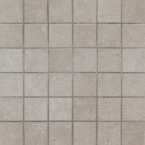 DYSS 02 Mosaic