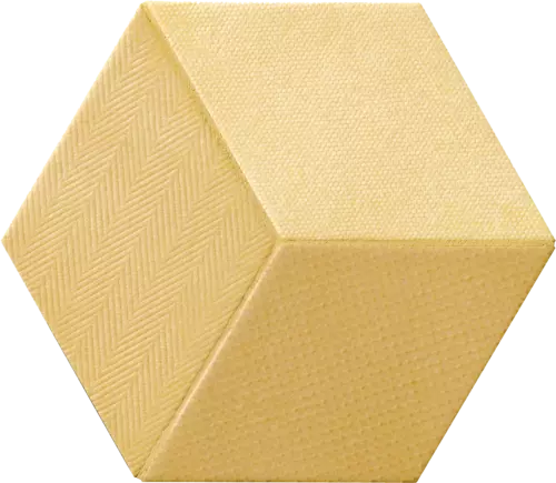 DTEX 05