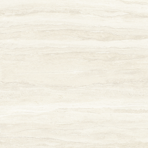 DGSI 05 Vein