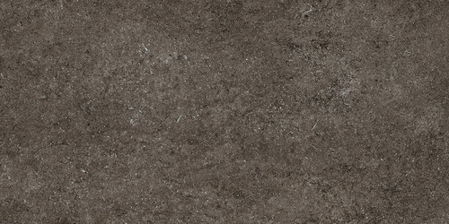 DMAG 191 Fossil