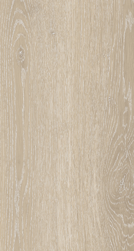 EVPE 538