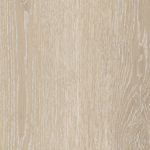 EVPE 538