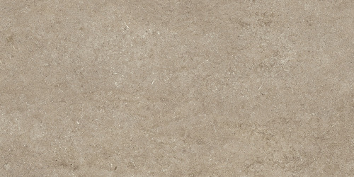 DMAG 187 Fossil