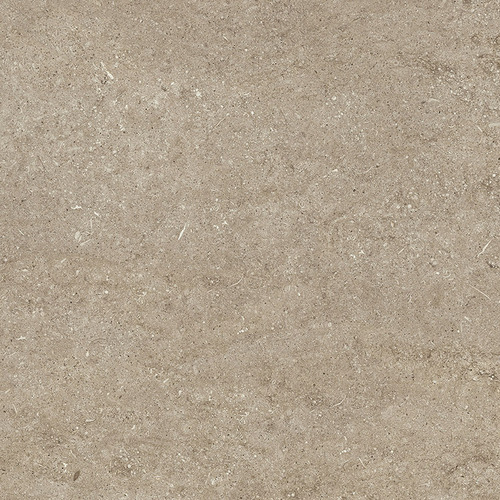 DMAG 187 Fossil