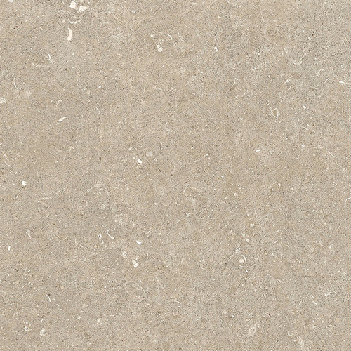 DMAG 304