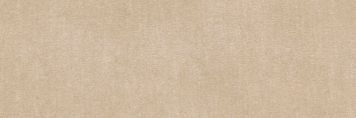 DLGL 02 Brush