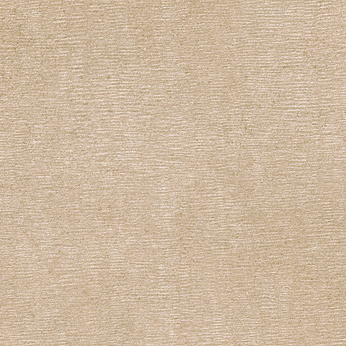 DLGL 02 Brush