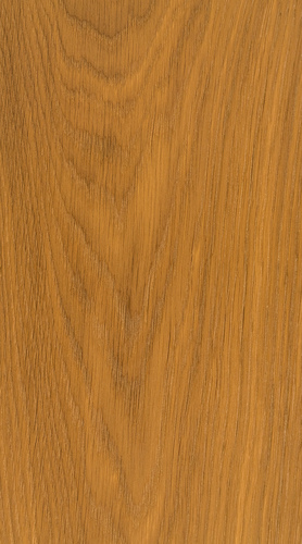 WDOP 019
