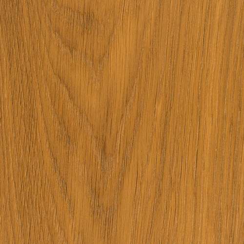 WDOP 019