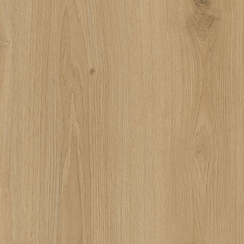 ELPE 603