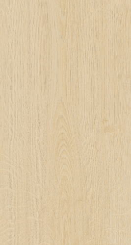 ELPE 481