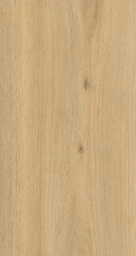 ELPE 342