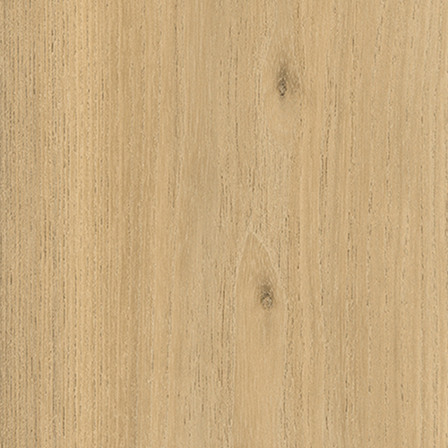 ELPE 342