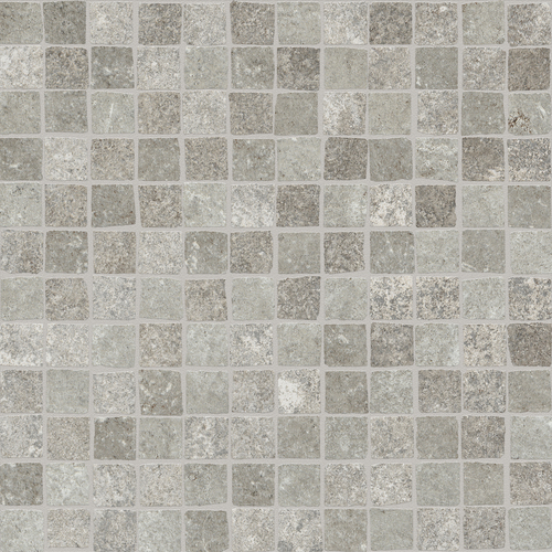 DSLE 03 Mosaic