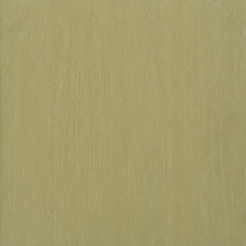 DMPU 06
