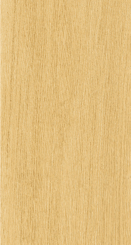 ELPE 483