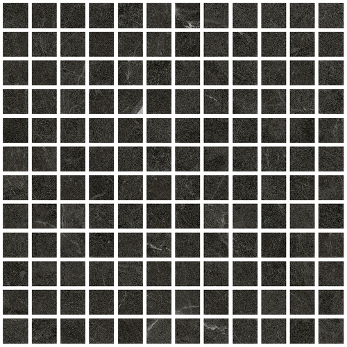 DLVN 04 Mosaic