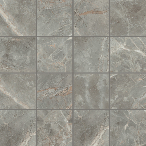 DMAG 95 Mosaic