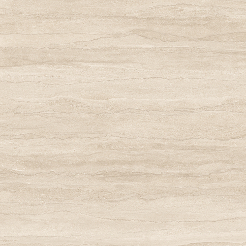DGSI 06 Vein