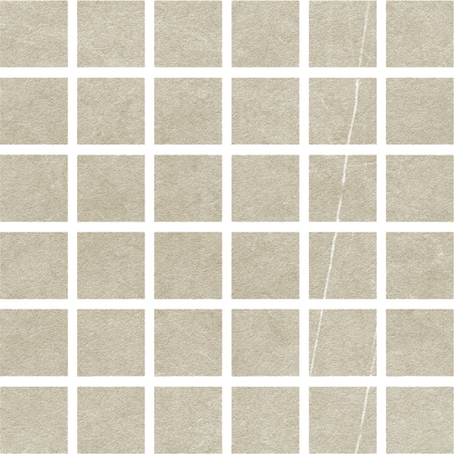 DLRE 05 Mosaic