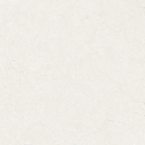 DASN 01