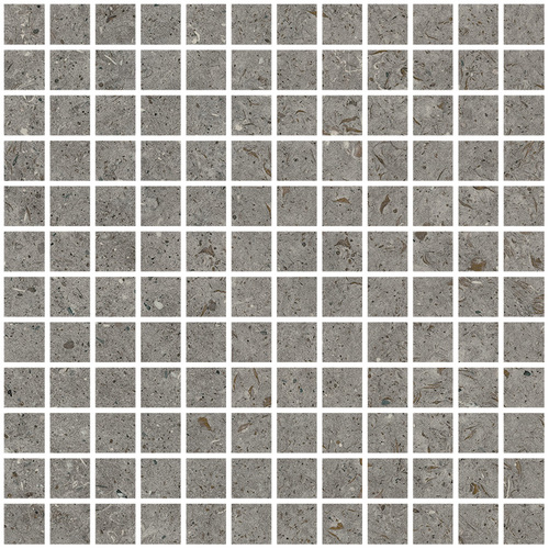 DLBF 05 Mosaic